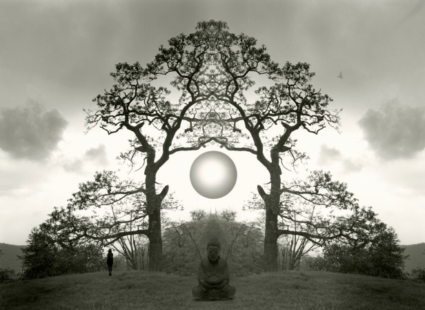 2015 Meditation Tree