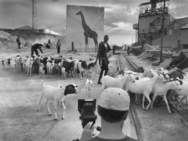 xMAKING OF - Nick Brandt photographing Factory with Giraffe 2160px ©Joshua Yeh